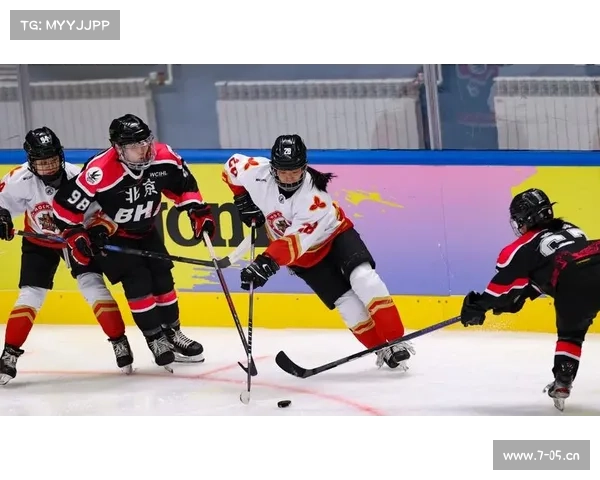 赛事经理 昆仑鸿星-北京昆仑鸿星球员名单